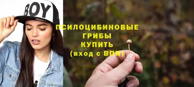 что такое   omg рабочий сайт  Галлюциногенные грибы мицелий  Калининск 